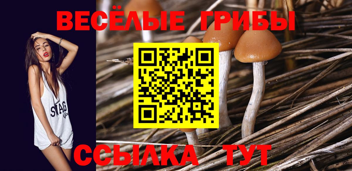 Псилоцибиновые грибы Cubensis  Вход с VPN  купить наркоту  Изобильный 
